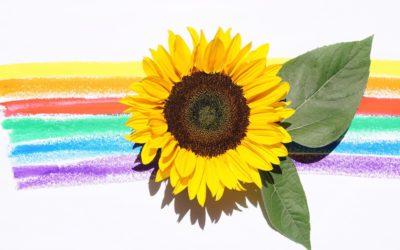 Kamaránk is ott lesz a Farmer Expón