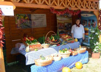 Hajdúnánási vállalkozói nap 11