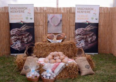 Hajdúnánási vállalkozói nap 26