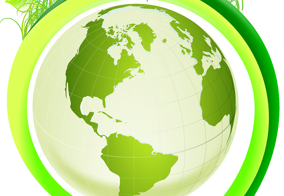 Közeleg a határidő: január 20-ig adatot kell szolgáltatniuk az EPR kötelezett vállalkozásoknak