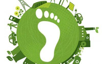 Vállalati fenntarthatóság: ESG felmérés