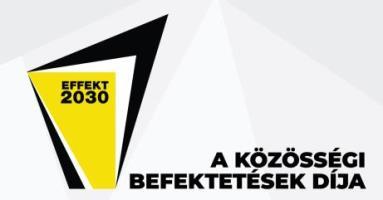 effekt2030 kozossegi befektetesek dij