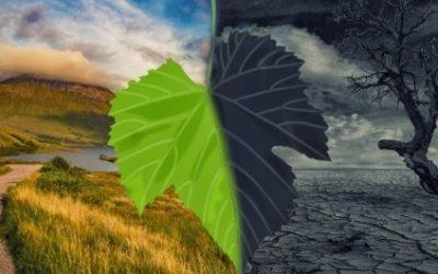 Milyen ESG- és klímatrendekre érdemes figyelni 2023-ban?