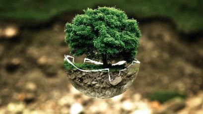 green environment friendly sustainibility tree