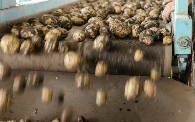 Megjelent az „Élelmiszeripari üzemek fejlesztése” című felhívás