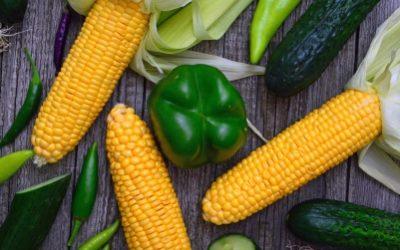 Pályázati felhívás: Hajdú-Bihari Termékdíj