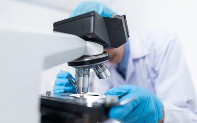 Innovation Ministry: Hungary joins open science initiative