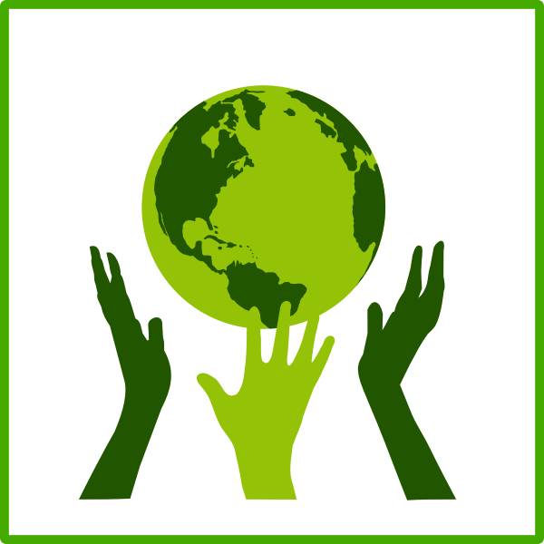 eco green solidarity 6