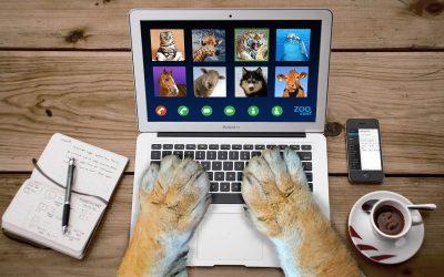 Online jelenlétünk is szennyezi a környezetet