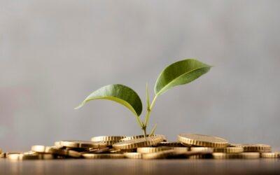 Átmenetileg szünetel a „Fókuszterületi innovációs projektek támogatása” program