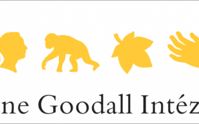 Passzold TOVÁBB, Tesó!