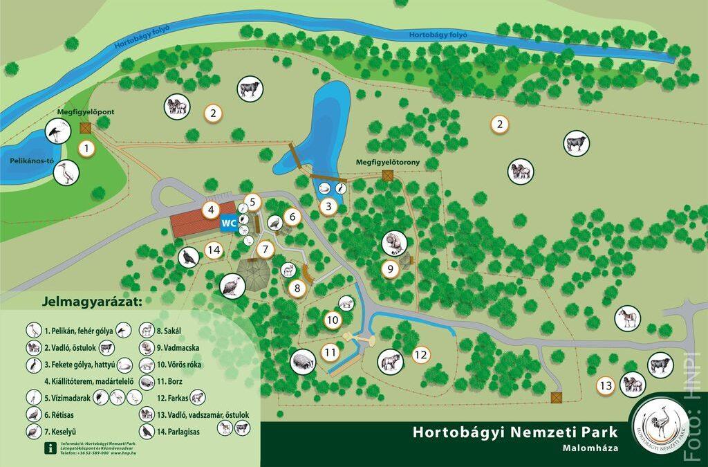 Hortobágyra kirándultak a Pályára fel! versenyen első helyezést elért harmadikosok