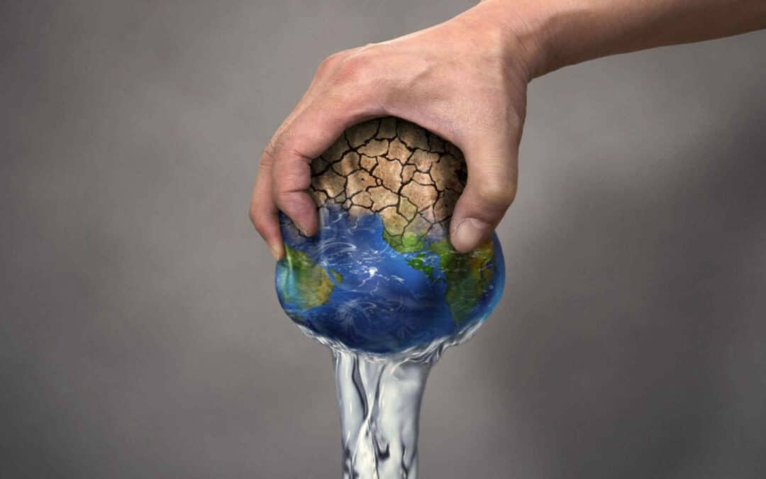 Túlfogyasztás napja: augusztus 2.