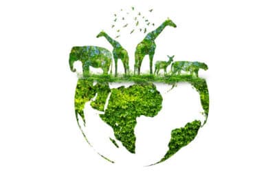 Az MNB szeretné, ha lassabb lenne a biológiai sokféleség csökkenése