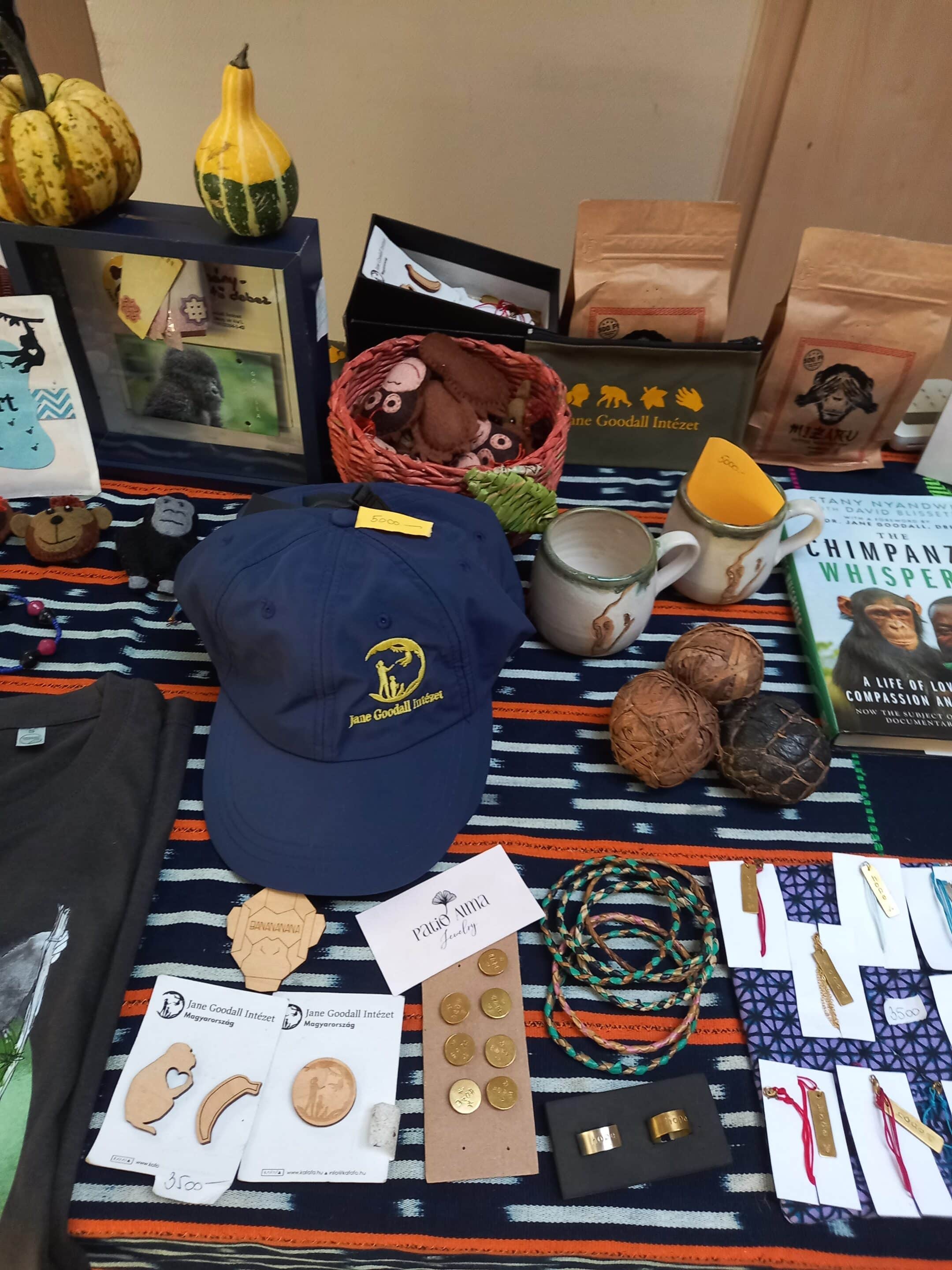 eco green solidarity 6