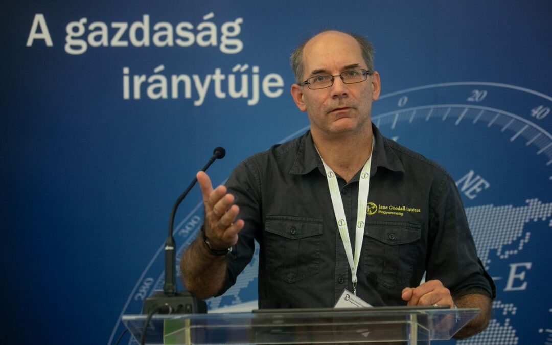 Magyarok által finanszírozott hajókkal utazhatnak a kisiskolások Afrikában