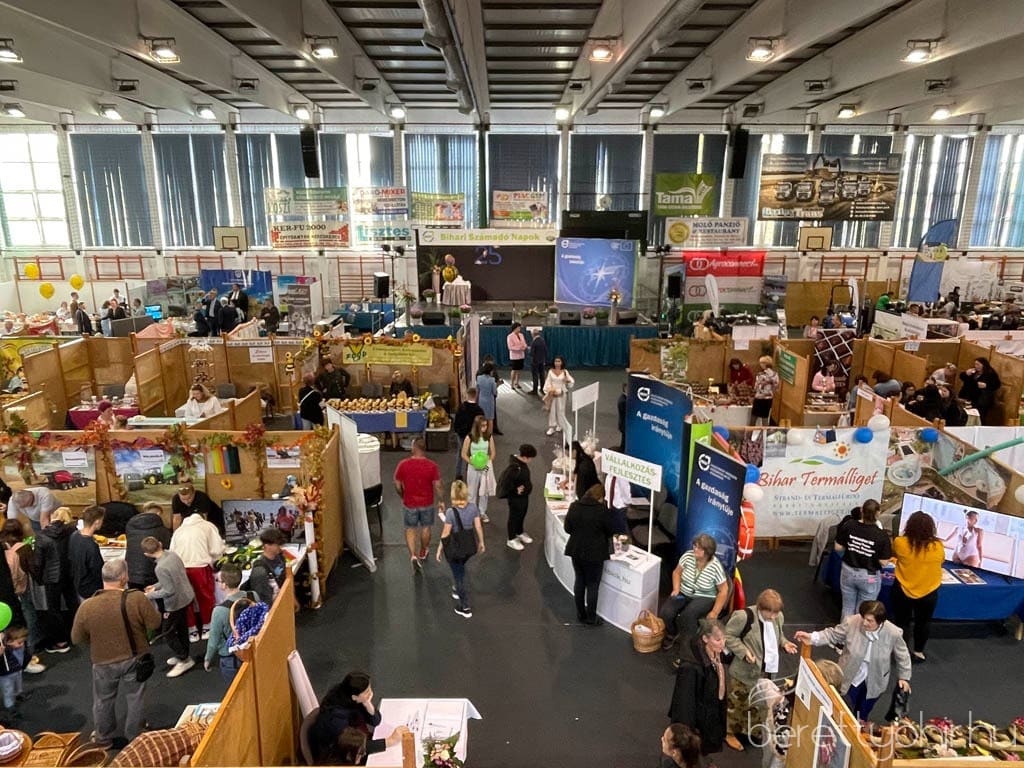 eco green solidarity 6