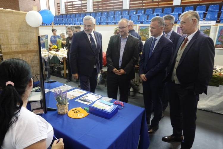 eco green solidarity 6