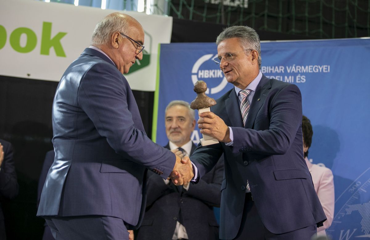 eco green solidarity 6