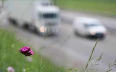 Fenntartható logisztika szakmai rendezvény