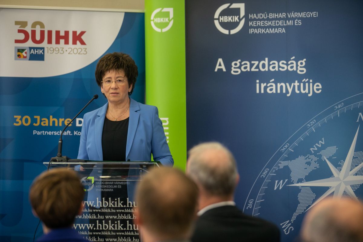 eco green solidarity 6