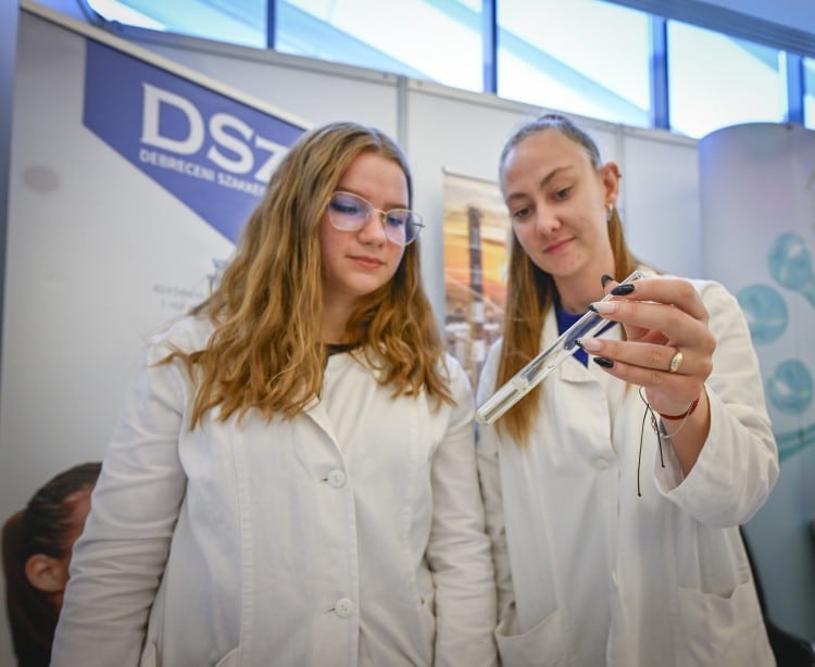 eco green solidarity 6