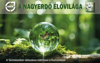 A Természettár időszakos kiállítása a Kamarában