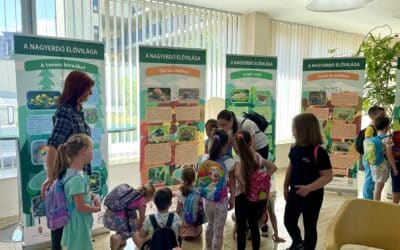 A Kamarába költözött a debreceni Nagyerdő