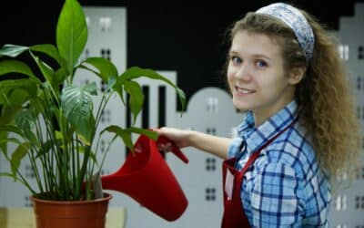 Könnyítések az egyszerűsített foglalkoztatásban