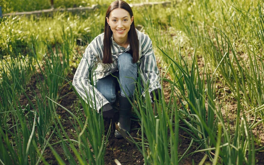 Alkalmi munkavállalás szabályai