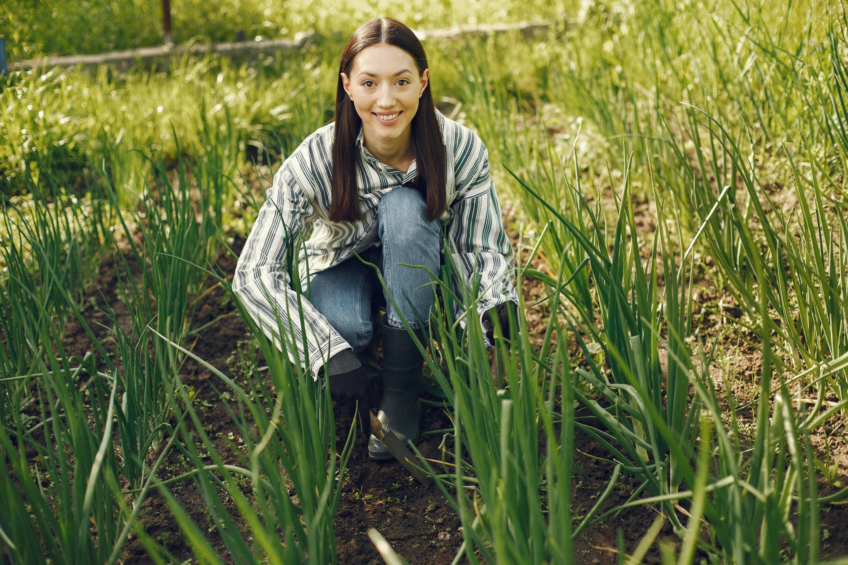 effekt2030 kozossegi befektetesek dij