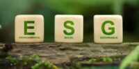 Új ESG eszköztár segíti a hazai vállalkozások felkészülését