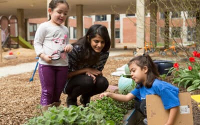 MTVSZ pályázat iskolák számára