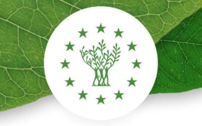 Április 25-ig lehet pályázni az Európa Zöld Fővárosa és a Zöld Levél Díjakra