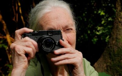 Fotópályázat a Jane Goodall Intézettel