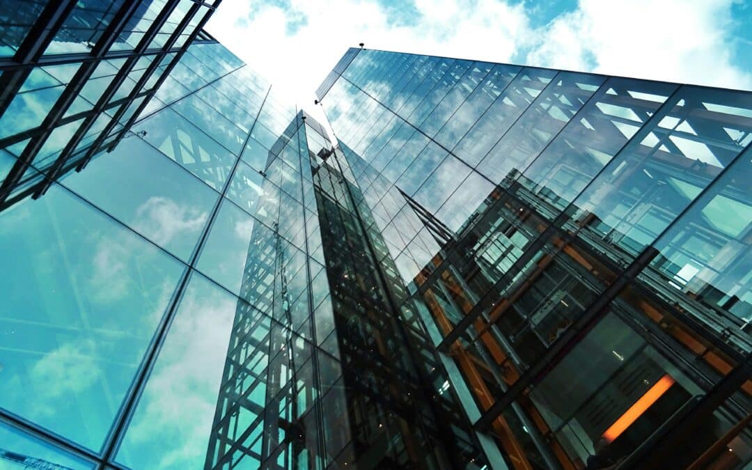 OECD multinacionális vállalatokra vonatkozó irányelvei