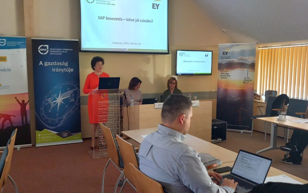 Az SAP bevezetés buktatói és megoldásai