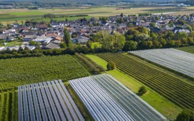 Megfér-e egymással a versenyképesség és a fenntarthatóság?