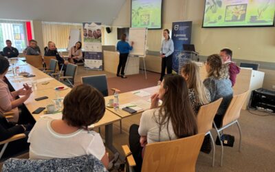 A munkahelyi mentális egészség, mint üzleti tényező