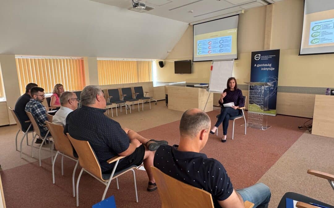 Vezetőként hatni – Sesztina Szakmai Nap a Kamarában