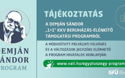 Módosult a Demján Sándor 1+1 Kkv Beruházás-élénkítő Támogatási Program pályázati felhívása