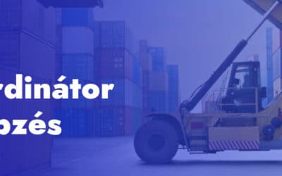 Export koordinátor – Külkereskedelmi sikerszakma