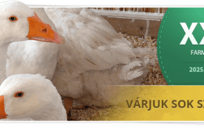 Farmer-Expo: kamarai üzleti standdal a vállalkozások sikeréért