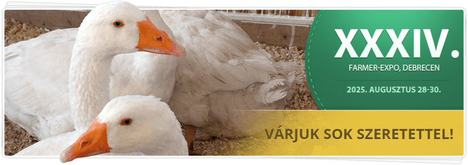 acronym bmw 1368279 960 720