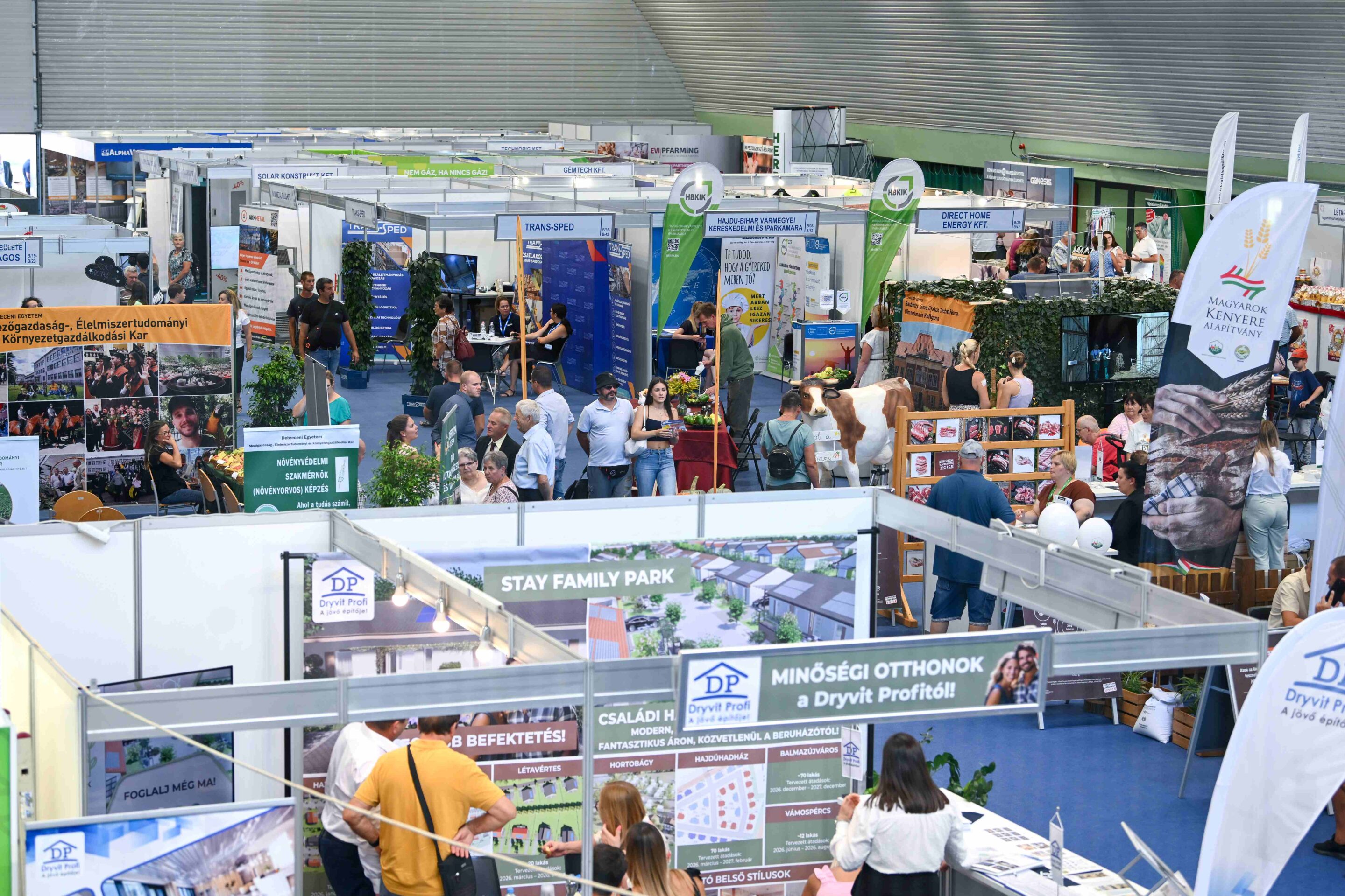 statisztika trend gazdaság GKI