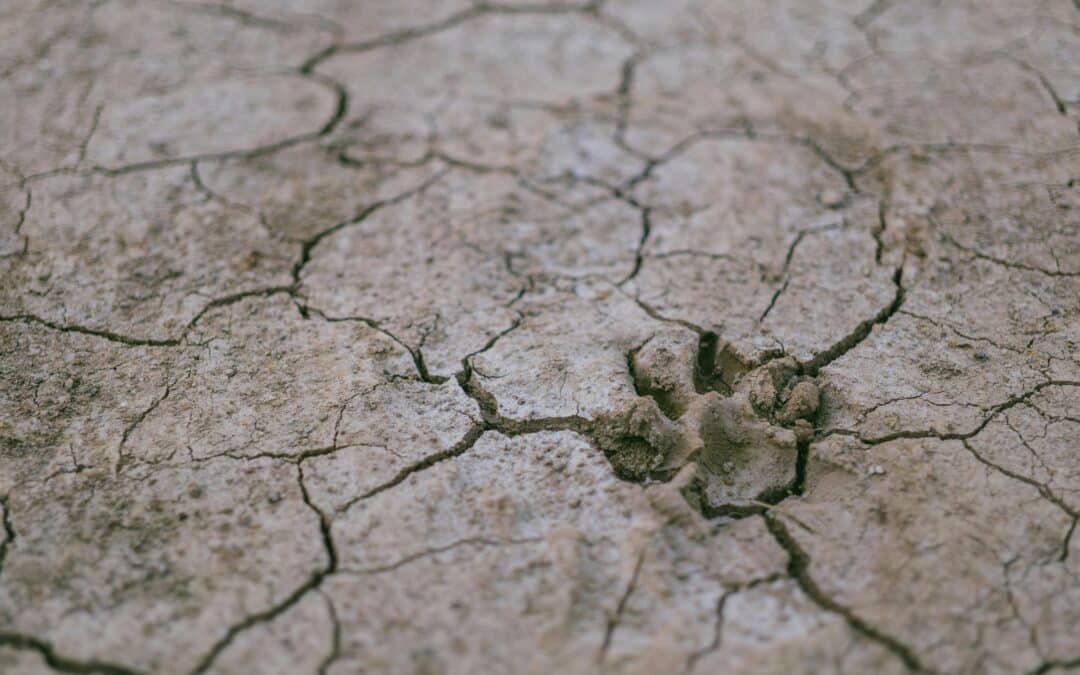 Felhívás projektkoncepció benyújtására – Aszálymegelőző Intézet