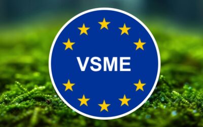 VSME tematikus képzés