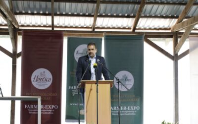 200 éve téma egy Duna–Tisza csatorna megépítése